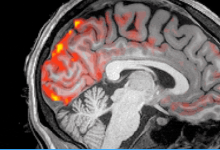 科學家發(fā)現(xiàn)在睡眠過程中脊液沖洗過大腦