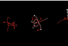 科學家發(fā)現(xiàn)時間對稱性和物理定律