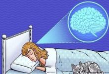 睡眠與神經(jīng)發(fā)育障礙的語(yǔ)言技能有關(guān)