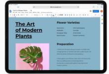 iOS 14 Safari獲得內置翻譯以更好地支持Apple Pencil