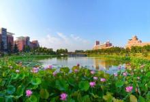在6月份已經(jīng)有兩所985高校研究院相繼落戶(hù)河南