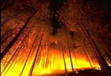 網(wǎng)絡(luò)助長了理解野火的強烈愿望