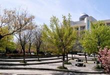 計劃外招生的內容和弊端以及計劃外招生含金量不高