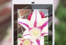 GoogleLens獲得一個獨立的應(yīng)用程序