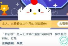 前沿手游：辟邪翁”是人們經(jīng)常在重陽(yáng)節(jié)用到的一種植物的別名它是