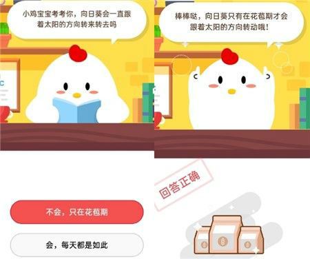 螞蟻莊園小課堂10月21日問題答案 向日葵會(huì)一直跟著太陽的方向轉(zhuǎn)嗎