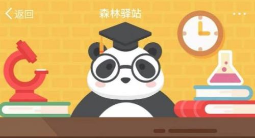 馬來(lái)語(yǔ)中森林中的人指的是哪種動(dòng)物 森林驛站2月24日答案