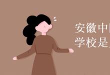 教育資訊：安徽中醫(yī)藥高等?？茖W(xué)校是幾本