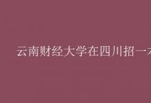 教育資訊：云南財經(jīng)大學在四川招一本嗎