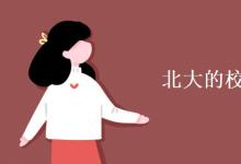 教育資訊:北大的?;帐钦l設(shè)計(jì)