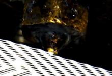 麻省理工學(xué)院研究人員通過(guò)3D打印缺陷創(chuàng)造了DefeXtiles紡織品