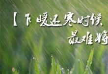 日常生活:乍暖還寒時(shí)候最難將息是什么意思