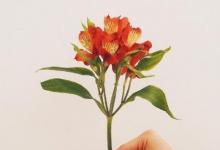 日常生活:勞動(dòng)節(jié)祝福語(yǔ)精選