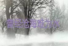 日常生活：曾經(jīng)滄海難為水是什么意思