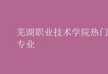 教育資訊:蕪湖職業(yè)技術(shù)學院熱門專業(yè)