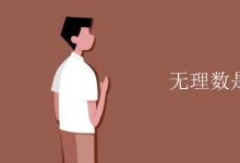 教育資訊：無理數(shù)是實數(shù)嗎