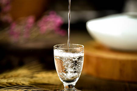 藍(lán)莓簡(jiǎn)筆畫(huà)2