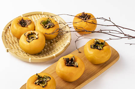 河馬怎么畫(huà)簡(jiǎn)筆畫(huà)2