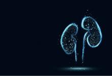 牽?；ê?jiǎn)筆畫步驟