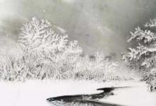 日常生活:忽如一夜春風(fēng)來(lái)千樹萬(wàn)樹梨花開是什么意思