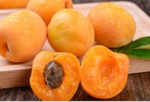 檸檬棒圖漫畫(huà)