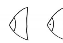 用彩色簡(jiǎn)筆畫(huà)熱帶魚(yú)
