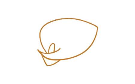 馬蹄蓮簡(jiǎn)筆畫(huà)步驟2