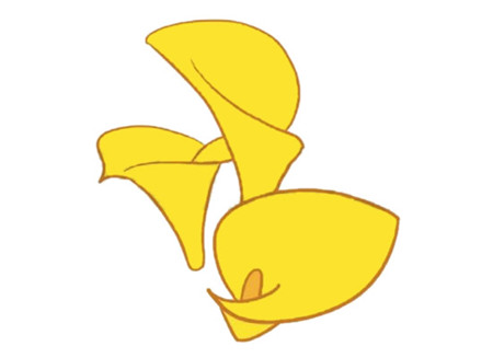 馬蹄蓮簡(jiǎn)筆畫(huà)步驟4