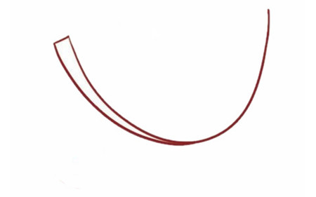 石榴彩色簡(jiǎn)筆畫的畫法1