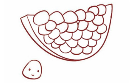 石榴彩色簡(jiǎn)筆畫的畫法3