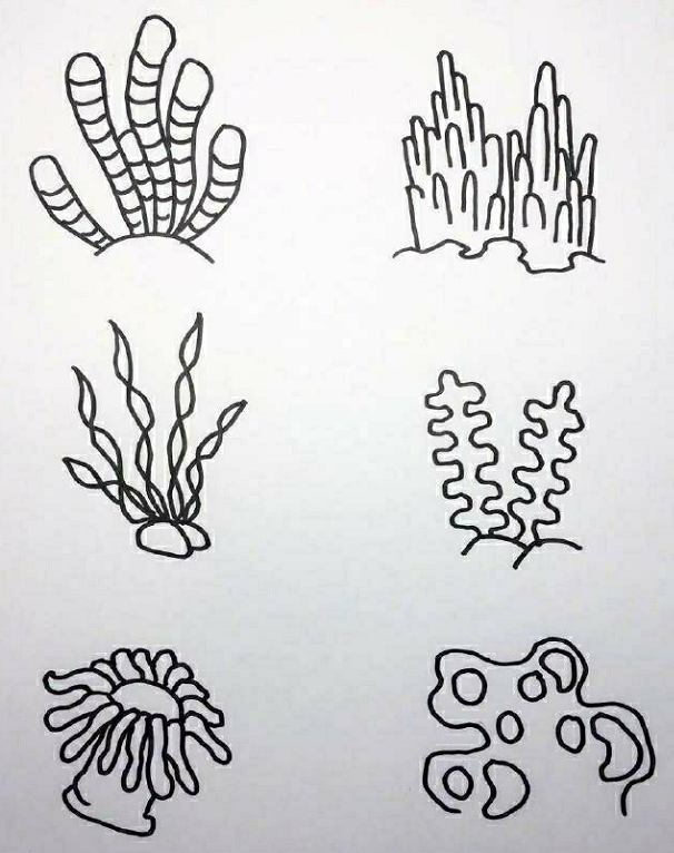 海底世界素材簡(jiǎn)筆畫(huà)5