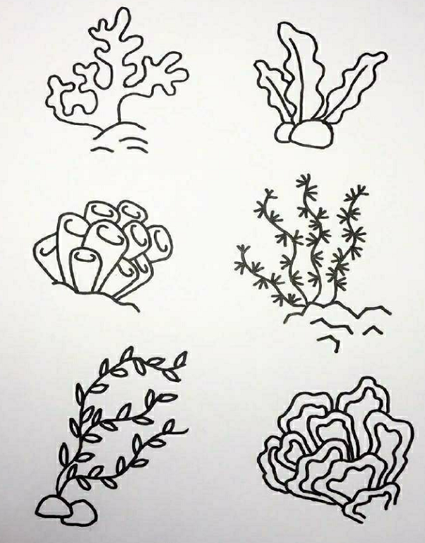 海底世界素材簡(jiǎn)筆畫(huà)6