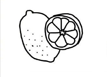 水果蔬菜簡(jiǎn)筆畫圖片大全1