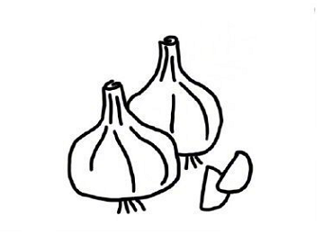 水果蔬菜簡(jiǎn)筆畫圖片大全2