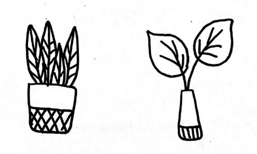 植物盆栽簡(jiǎn)筆畫圖片大全3