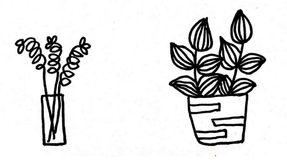 植物盆栽簡(jiǎn)筆畫圖片大全6