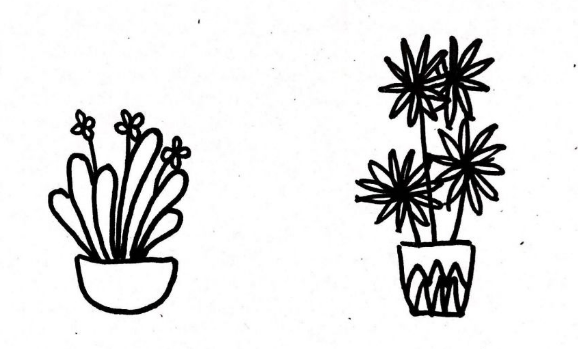 植物盆栽簡(jiǎn)筆畫圖片大全8