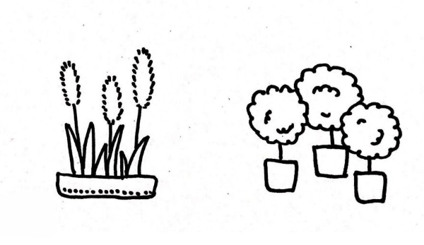植物盆栽簡(jiǎn)筆畫圖片大全9