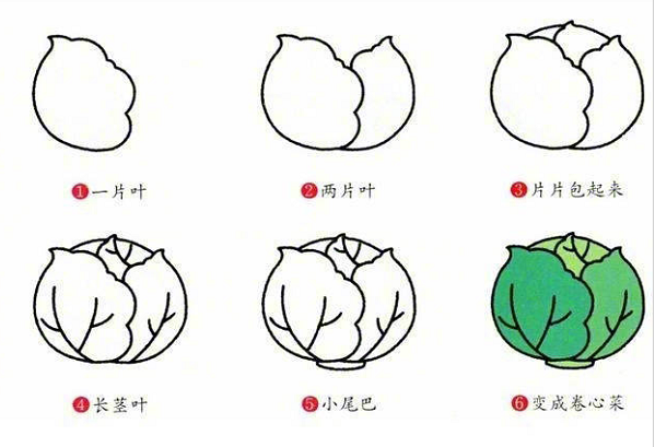 多種蔬菜的簡(jiǎn)筆畫圖片大全6