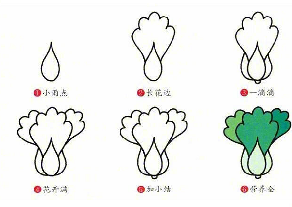 多種蔬菜的簡(jiǎn)筆畫圖片大全4