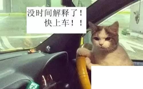 網絡語開車是什么意思