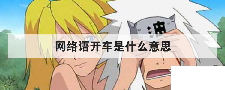 網絡語開車是什么意思