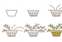 彩色植物盆栽簡(jiǎn)筆畫