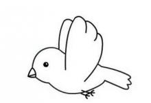 可愛(ài)的鳥(niǎo)棒畫(huà)圖大全