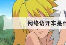 日常生活:網(wǎng)絡(luò)語(yǔ)開(kāi)車(chē)是什么意思