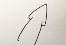 如何畫(huà)魷魚(yú)簡(jiǎn)單又漂亮