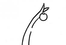 蘋果樹(shù)簡(jiǎn)筆畫步圖