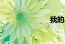 我的小學(xué)教育