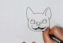 如何畫法國(guó)斗牛犬簡(jiǎn)筆畫？