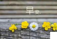 日常生活:早上的問(wèn)候語(yǔ)大全